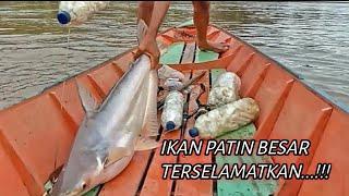 MEMANCING MENGGUNAKAN BOTOL  MANTAU IKAN PATIN‼️