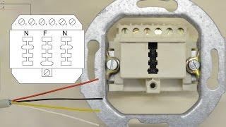 Telefondose anschließen - Telefonanschluss - TAE