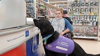 Assistance Dog Transforms Disabled Owners Life