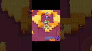 Shelly=Easy Rank 30