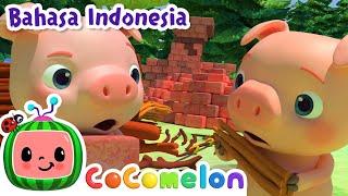 Tiga Babi Kecil  CoComelon Bahasa Indonesia - Lagu Anak Anak