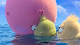 Inflation Scene  The Angry Birds Movie 2