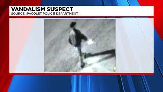 Suspect wanted for vandalizing Upstate town halls flagpole