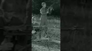 Original Sound of the MG 34 MG 42 and MP 40 Firing WWII #shorts