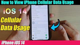 iPhone iOS 14 How to View Cellular Data Usage