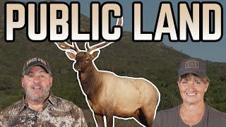 DIY Public Land Elk Hunting Tips  Bass Pro Shops