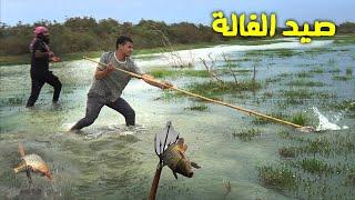 صيد سمك الكارب بالفالة fishing