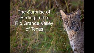 The Surprise of Birding the Rio Grande Valley of Texas