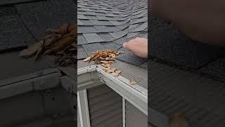 Gutter guard keeping my gutters clean #diy