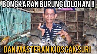 bongkaran burung lolohan dan masteran di kios cak suri