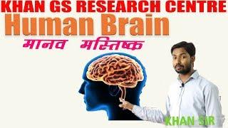  Biology - Human Brain मानव मस्तिष्क  Khan GS Research Center  Patna