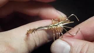 D.I.Y. Wire Scorpion Tutorial seed beads added.