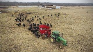 CowCalf Operation Willer & Ekern Farms Jaylor 5425 TMR Mixer