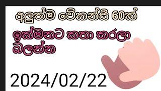 job vacancy 2024 job vacancies Job guide sri lanka job interview jobs at homegoverment jobs  sl