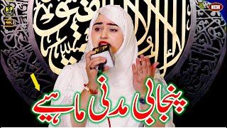 Punjabi Madni Mahiye  New Kalam 2024  Naat Sharif  Hafiza Sania  Nsp Islamic