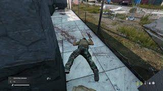 DayZ funny moments