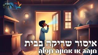 האם אסור לִשְׁרֹק בבית▪️האם זה מנהג או אמונה תפלה▪️מקורות מדברי רבותינו▪️מרתק ביותר