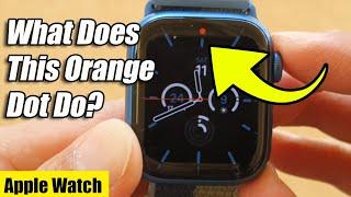 Apple Watch 7 What Is the Orange Dot at the Top of the Screen