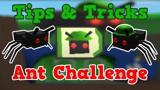 Tips & Tricks Ant Challenge │ Bee Swarm Simulator