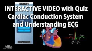 NEW INTERACTIVE VIDEO Cardiac Conduction System and Understanding ECG EKG