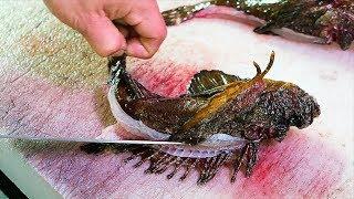 Japanese Street Food - POISONOUS STONEFISH Pasta Sashimi Okinawa Seafood Japan