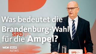 Welche Folgen hat die Brandenburg-Wahl für die Ampel-Regierung?  WDR Aktuelle Stunde