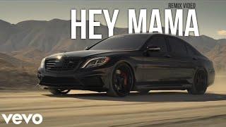 David Guetta - Hey Mama ERS REMIX    Car Remix Video