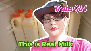 Trans Girl Does Sark Ep 2 - Real Milk #trans #mtf #travel #blog #lgbt #transwomen