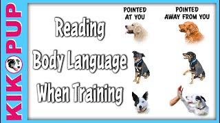 How to Read Your Dogs Body Language When Training