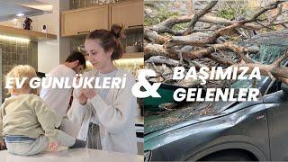 BAŞIMIZA GELENLER ATLAS YÜRÜYOR #BODRUMGÜNLÜKLERİ