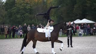 Woltyżerka Bareback Riding