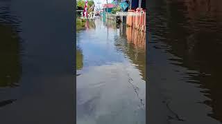 BANJIR KALSEL  Banjir di Tunggul Irang Ulu Kabupaten Banjar