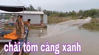 Cả Làng Bè Xúm Lại Xem Cảnh Chài Tôm Càng Xanh Quá Đã Luôn # SĂN BẮT ĐỒNG THÁP #