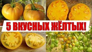 САМЫЕ ВКУСНЫЕ И СЛАДКИЕ ТОМАТЫ  ЛУЧШИЕ ЖЁЛТЫЕ СОРТА КОТОРЫЕ Я САЖАЛ