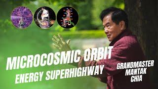 What is the microcosmic orbit? Bodys energy superhighway explained by Grandmaster Mantak Chia