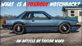 What is the Foxbody Notchback? An Article by Taylor Ward