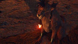 15 years old Red XIII- Final Fantasy 7 Rebirth
