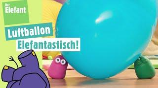 elefantastisch -  Die Mini Boings und der Luftballon & Lied Fünf kleine Fische  Der Elefant  WDR