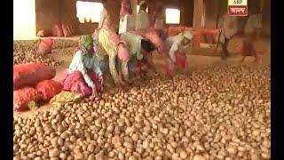 Government is taking strong step to control over potato price hike