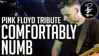 PFT - Pink Floyd Tribute Roma Comfortably Numb