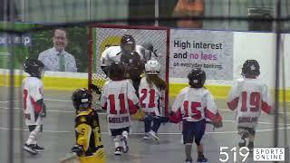 Under 7 Lacrosse - Kitchener-Waterloo Kodiaks vs Guelph Regals