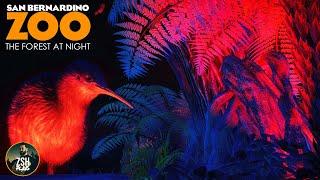 Building a HUGE Night House in Franchise Mode  San Bernardino Zoo  Planet Zoo