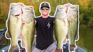 RECORD DAY OF BASS FISHING UNBELIEVABLE