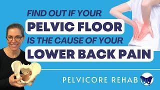 Lower Back Pain After Pregnancy & Birth  How Your Pelvic Floor is Connected