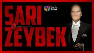 SARI ZEYBEK