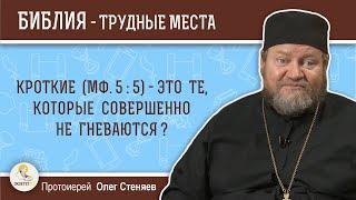 Кроткие Мф.55 - это те которые совершенно не гневаются?  Протоиерей Олег Стеняев