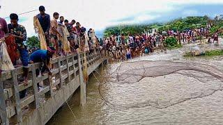 বিশাল বন্যার পানিতে এত মাছ ধরা আগে কোনো দিন কেউ দেখেনি