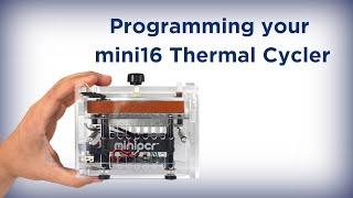 How to program your miniPCR® mini16 thermal cycler from miniPCR bio™