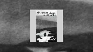 Steaming Woodlands - Tomorroworld Full Album 2024