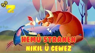 Zarok TV - Hemû Stranên Nikil û Gewez